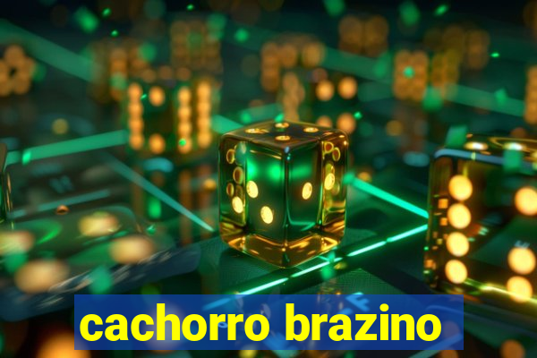 cachorro brazino